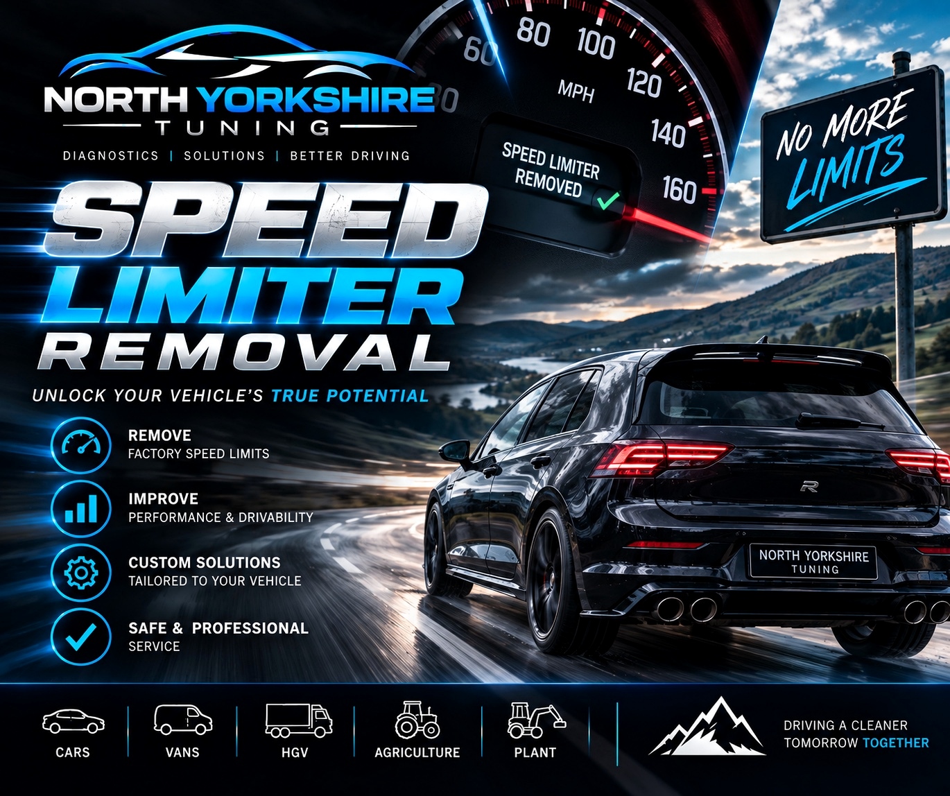 Speed Limiter Removal